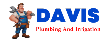 Trusted plumber in LARIMORE